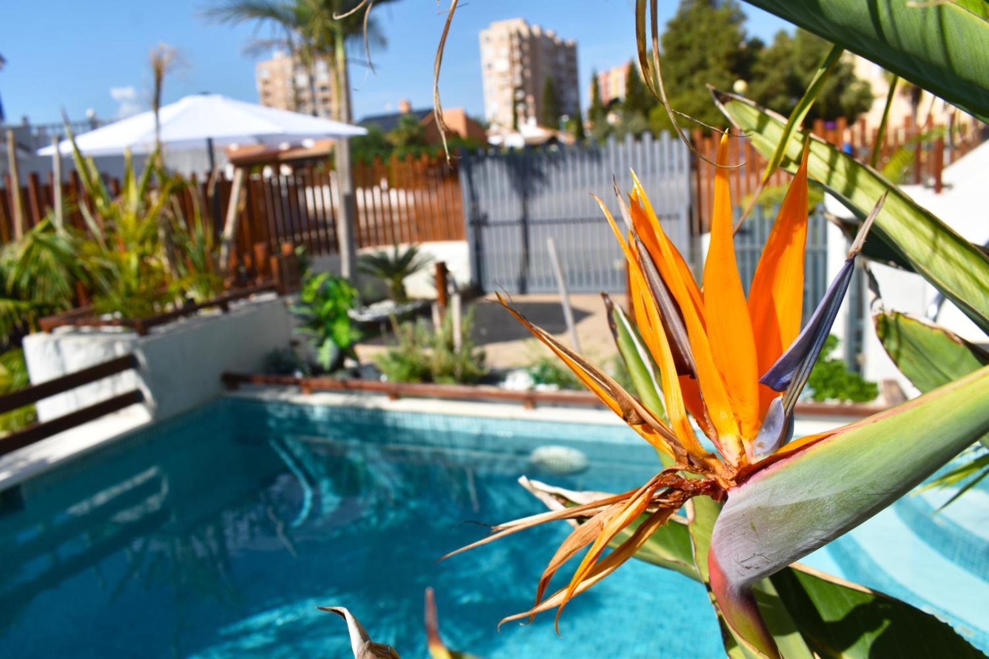Apartment Apart Turisticos Marine Rest La Manga Mar Menor Piscinas Privadas Playa Paraiso (Murcia)